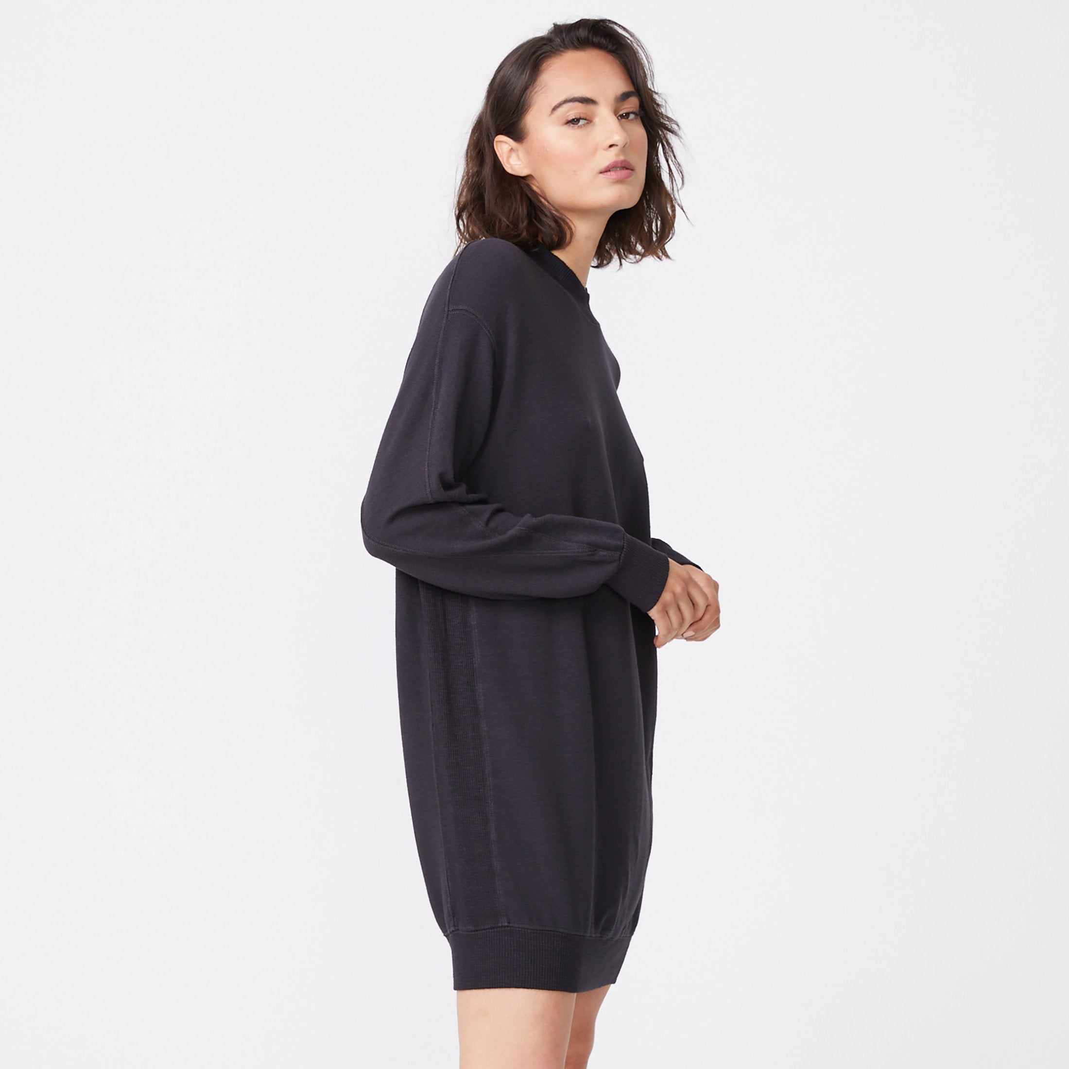 Supersoft Mock Neck Seamed Dress (6583333945526)